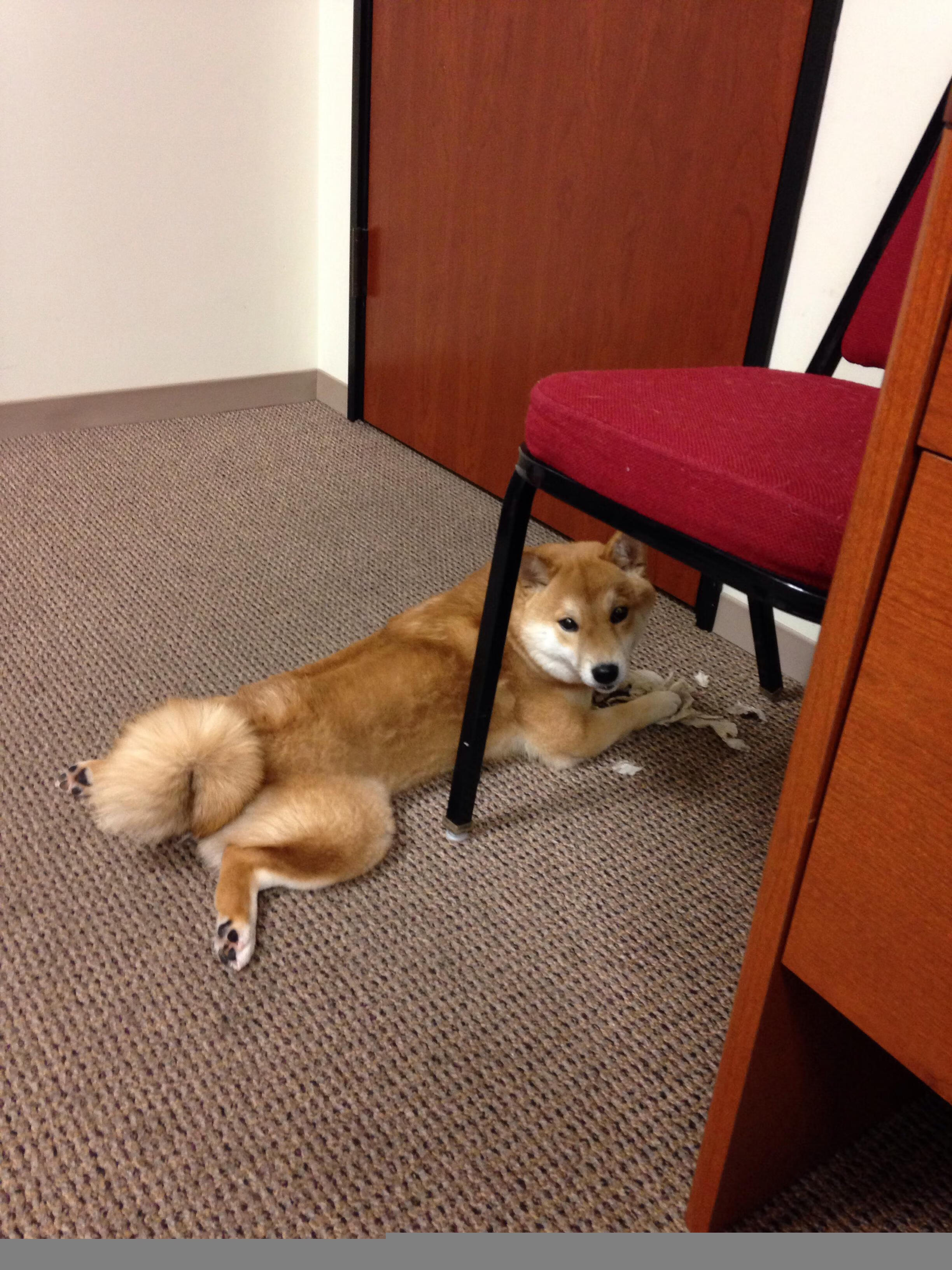 中场休息的精彩:明星球员的休闲娱乐瞬间,球员中场休息都在干嘛