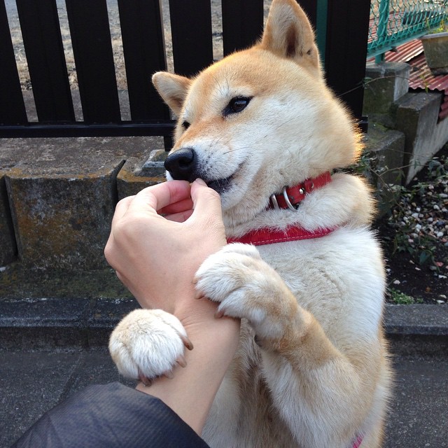 今年联盟“三分命中率”排名都有哪些令人惊喜的队伍？，nba联盟三分命中率第一