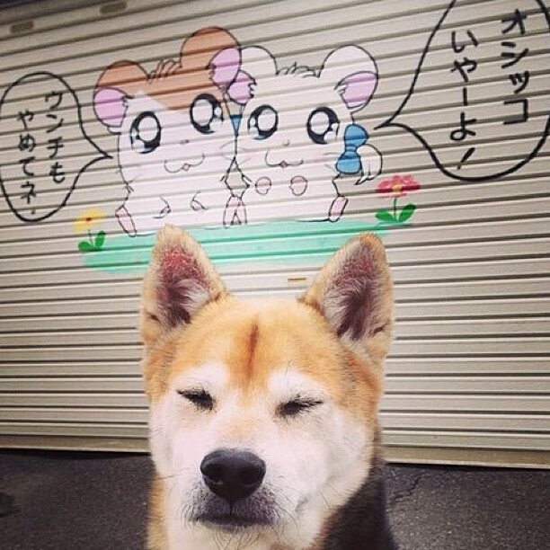 九游电竞平台官网-山东泰山客场逆转，豪取三连胜，山东泰山赢了吗