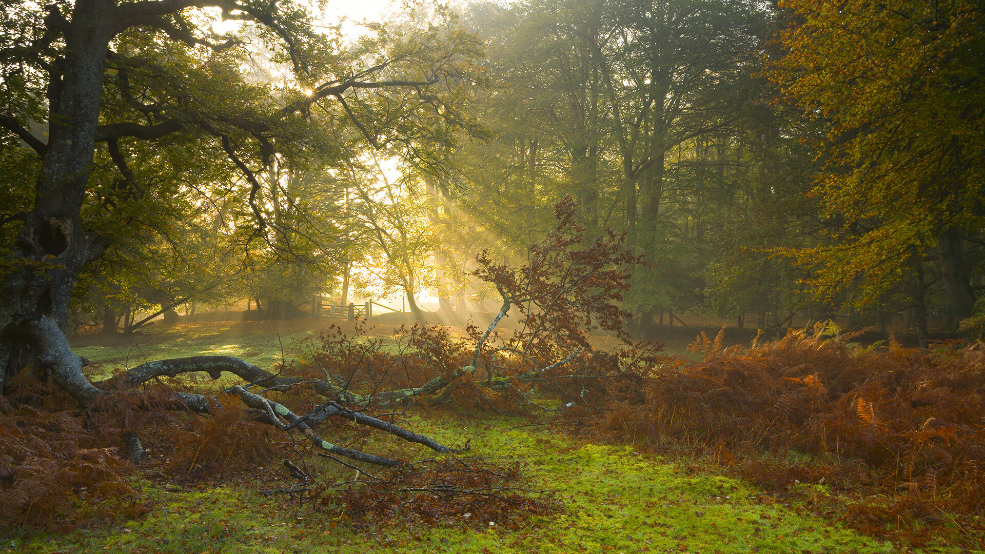 数字化战术分析平台在职业联赛中应用，提升战术水平，数字化战训