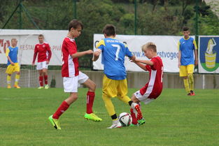 九游app官网下载-塞尔维亚实力不断提升，期待在国际大赛中突破